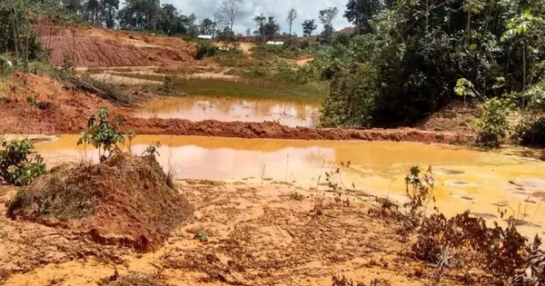Orpaillage lgal en Guyane: la condamnation de la socit Gold'or pour pollution des eaux est confirme
